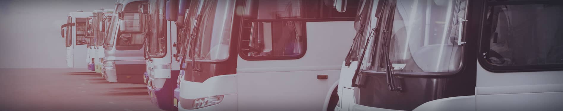 What to Do Immediately After a Car Accident? The Complete Guide to First Steps