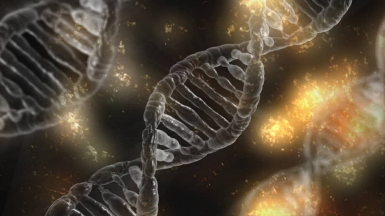 Medical Malpractice in Genetic Testing